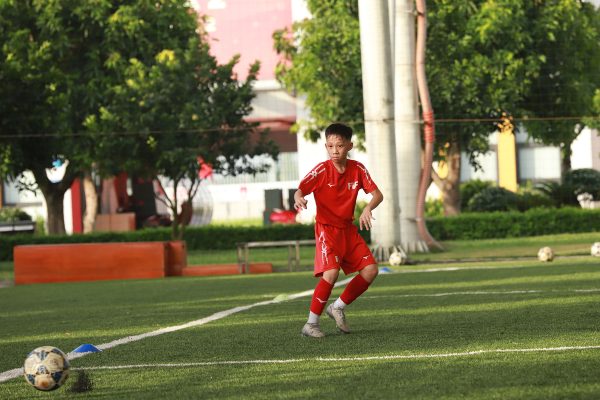 nguyen du