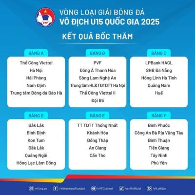 Bảng thi đấu giải bóng đá vô địch U15 quốc gia 2025 (Nguồn ảnh: VFF)